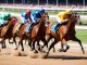 Stefan Persson trav illustration
