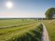 Visby Travet – En sommarpärla att upptäcka! illustration