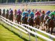 Spännande Odds För Elitloppet 2024! illustration